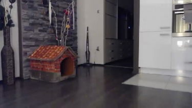 MiaMaxxx - 2019-12-22 #4 – MiaMaxxx – borítókép