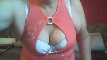 karatetigris - 2017-11-29 #1 – Pitbull23 – borítókép