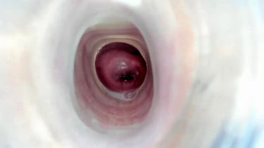 Puncitagitas es kukk be mélyen a puncimba – Szabina♥ – borítókép