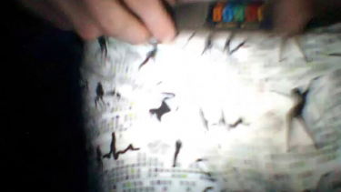 mckuur - 2012-12-23 #1 – Helyes93 – borítókép