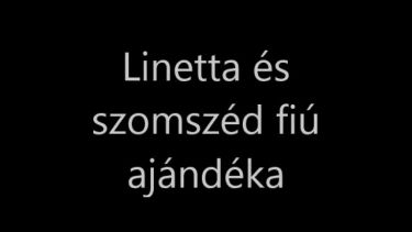 A szomszéd fiú ajándéka – Linetta H – borítókép