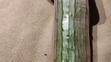 Vegán játékok (Uborka) :P – Dellahh – borítókép