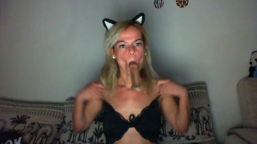 SusanWonderland - 2022-06-08 #1 – Katycress – borítókép