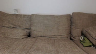 dorothysteam - 2022-06-13 #1 – dorothysteam – borítókép