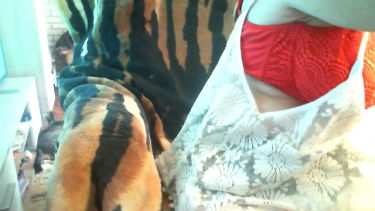 éretthölgy - 2022-06-28 #1 – borítókép