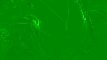 LorraineOSun - 2021-12-29 #1 – borítókép