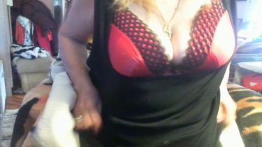 éretthölgy - 2022-01-25 #3 – Rosszcicuska – borítókép