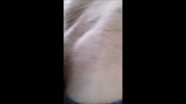 Imádok szopni – Medvemacitibormens – borítókép