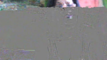 monci - 2022-08-29 #1 – borítókép