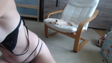 dorothysteam - 2023-07-06 #1 – borítókép