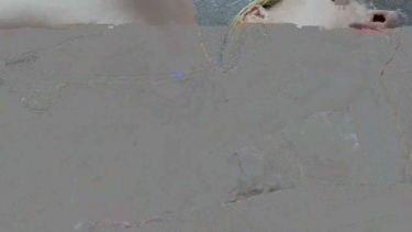 ElzaKom - 2024-06-17 #3 – Elza Kom – borítókép