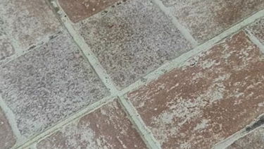 popsi2 – LisaMona35 – borítókép