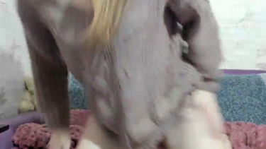 Marmeladka - 2024-02-19 #1 – JangHi-22 – borítókép