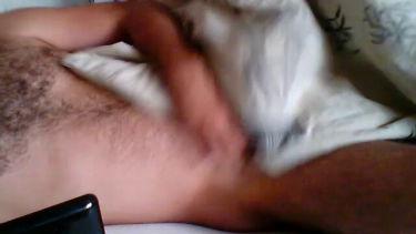 max maszti - 2014-10-05 #2 – kedves pasi – borítókép